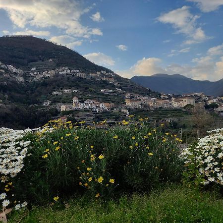 La Margherita Fiorita رافيلّو المظهر الخارجي الصورة