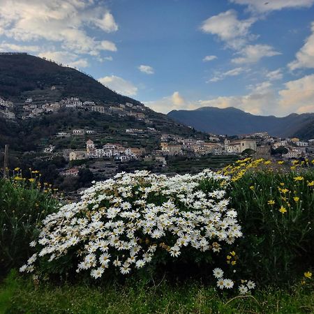 La Margherita Fiorita رافيلّو المظهر الخارجي الصورة
