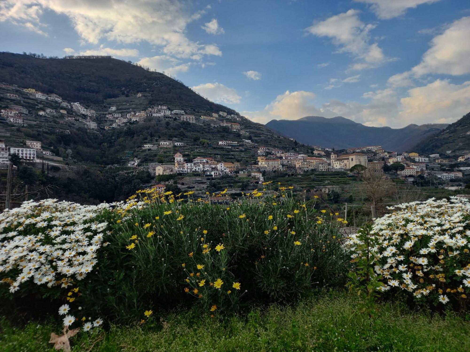 La Margherita Fiorita رافيلّو المظهر الخارجي الصورة