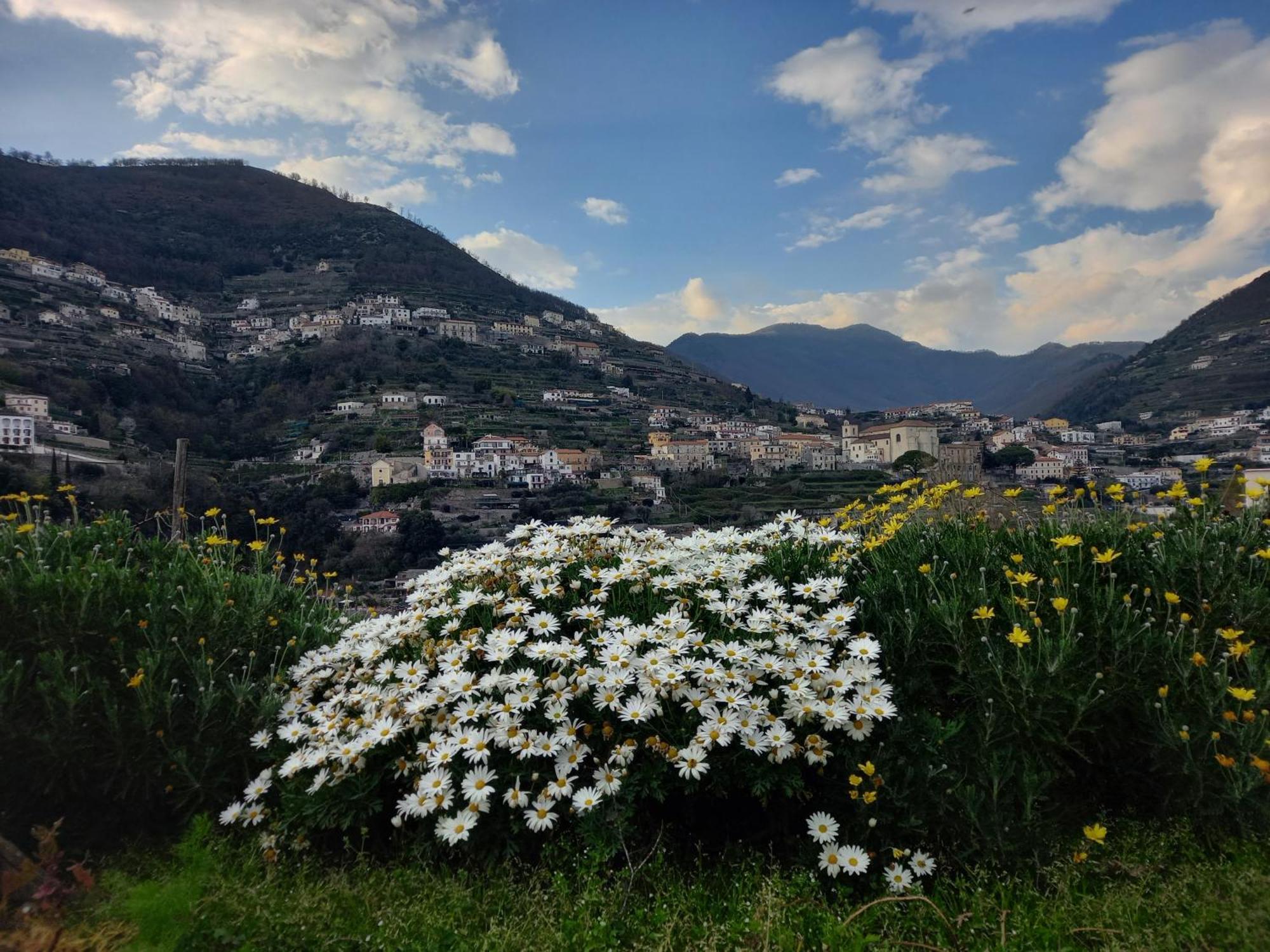 La Margherita Fiorita رافيلّو المظهر الخارجي الصورة